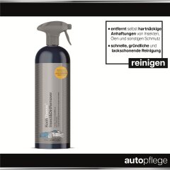 Koch Chemie Insect&DirtRemover - Insect & Dirt...