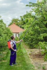 Kwazar telescopic lance 3 m, angled lance head, tree guard
