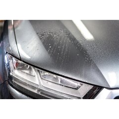 Soft99 - Authentic Premium Pure Carnauba Wax - 200g