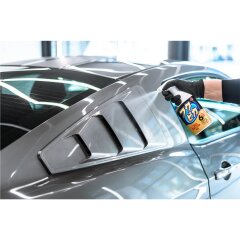 Soft99 Fukupika Spray Advance Starker Typ