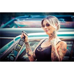 DetailMasters Brillance en Spray 500 ML - Quick Detailer