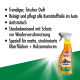 SONAX CockpitStar - KunststoffReiniger 750ml Sprühflasche