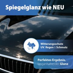 Soft99 Autowachs Set - Premium