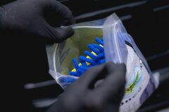 Nuke Guys - Bug Swiper - 2 in 1 Insektenschwamm - Wasch Pad - verpackt