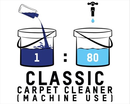 Classic Carpet Cleaner