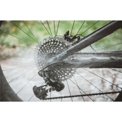 Dr.Wack F100 Kettenreiniger 300 ml