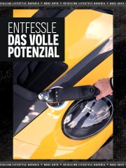 Nuke Guys Poliermaschine LHR 15ES/NG