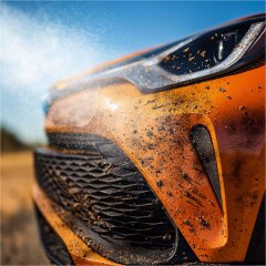 Tuga Chemie Insekten Teufel 1L