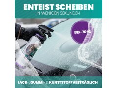 Nuke Guys EisFrei Enteiserspray 1L