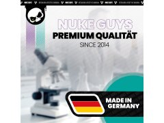 Nuke Guys EisFrei Enteiserspray 1L