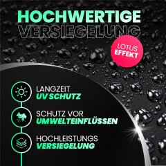 Menzerna Black Gloss & Protect Autopolitur 250ml