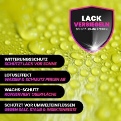 Nuke Guys All in One Polish Set